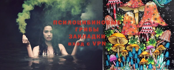 прущая мука Шадринск