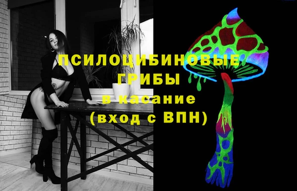 прущая мука Шадринск