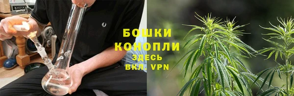 прущие крисы Шали