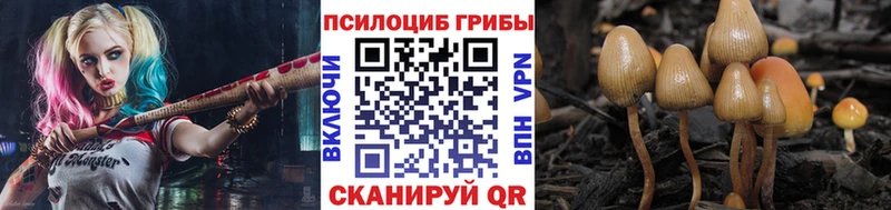 Псилоцибиновые грибы ЛСД  omg вход  Вельск 